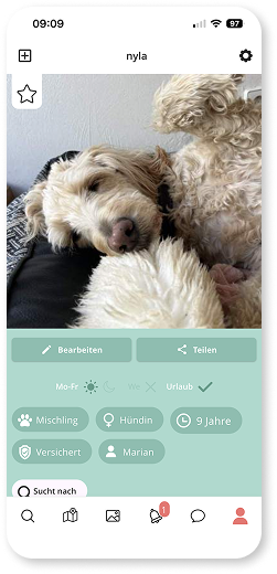 Schlechte Farbkontraste in der Profilansicht