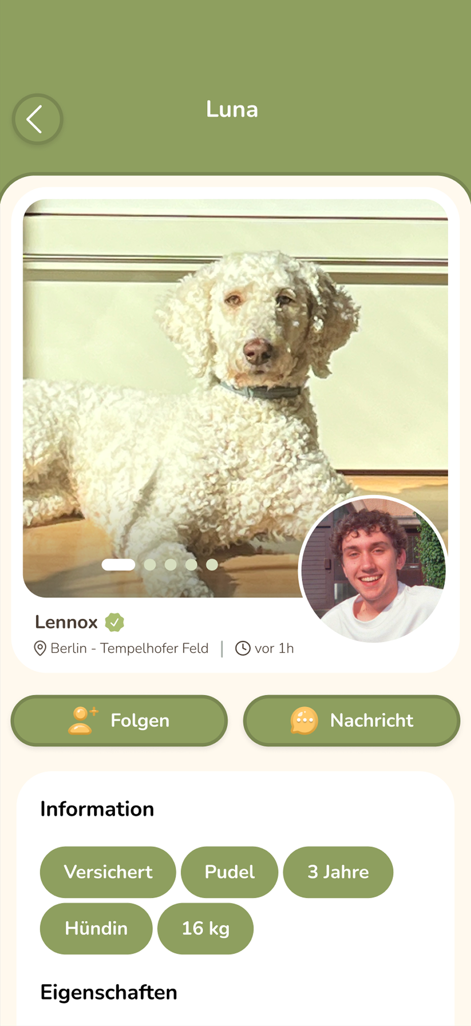 Profilansicht mit relevanten Informationen